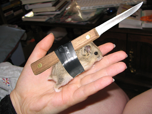 hamster-knife.jpg